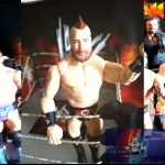 Sheamus WWE Action Figure