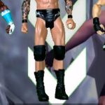 Randy Orton WWE Action Figure