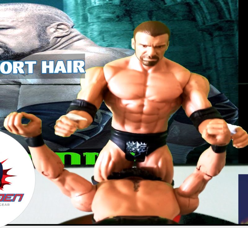 HHH Short Hair Wolfs Den Shop WWE Wrestling Action Figures