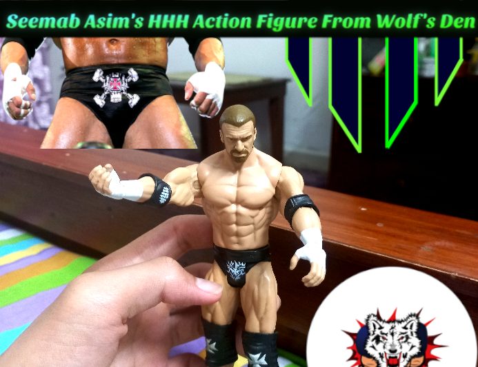Seemab Asim's HHH Action Figure From Wolf's Den