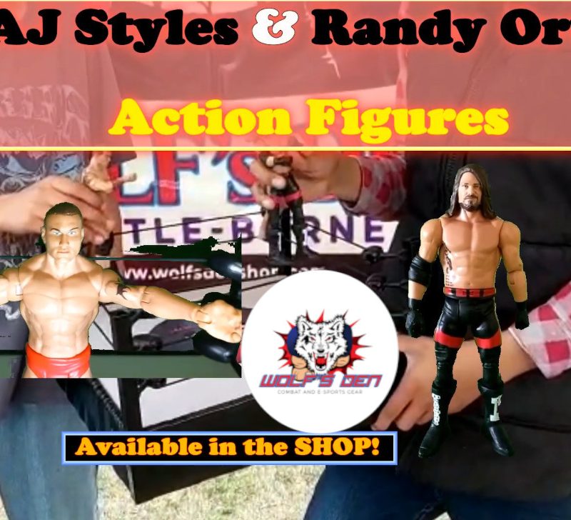 AJ Styles and Randy Orton Action Figures