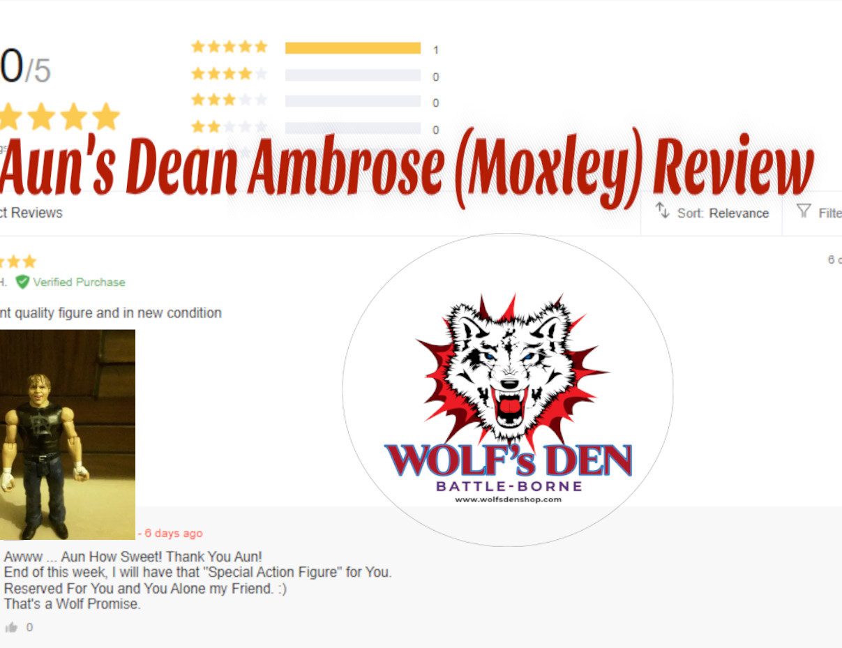 Dean Ambrose Action Figure Review