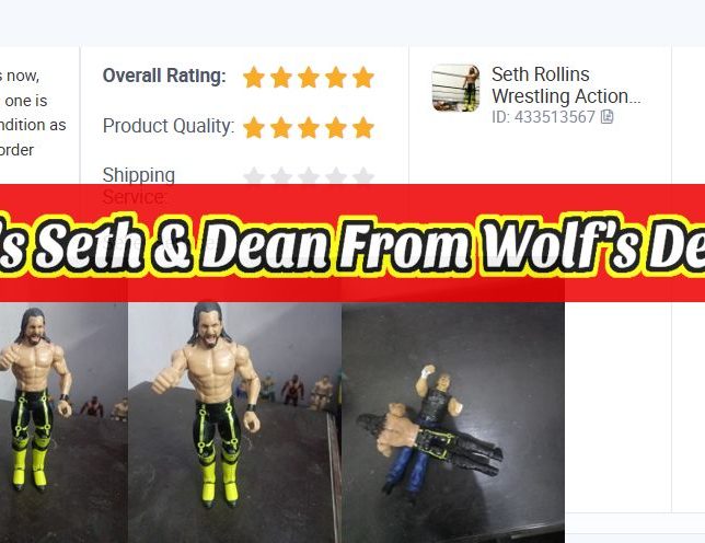 Minecraft's Seth and Dean Action Figures WWE Wrestling