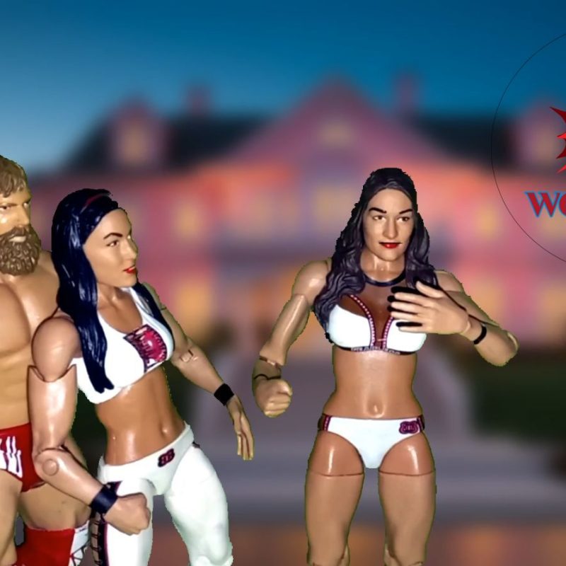 Nikki Bella and Brie Bella with Daniel Bryan